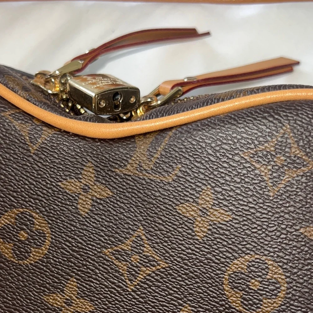 Louis Vuitton Heart-Shaped Monogram Crossbody Bag with Red Accent - Picture 13 of 17